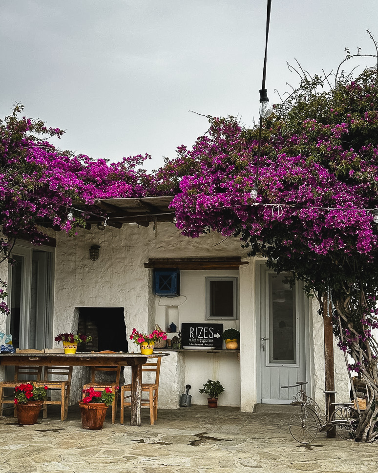 Rizes Restaurant Farmstead Hidden Gem