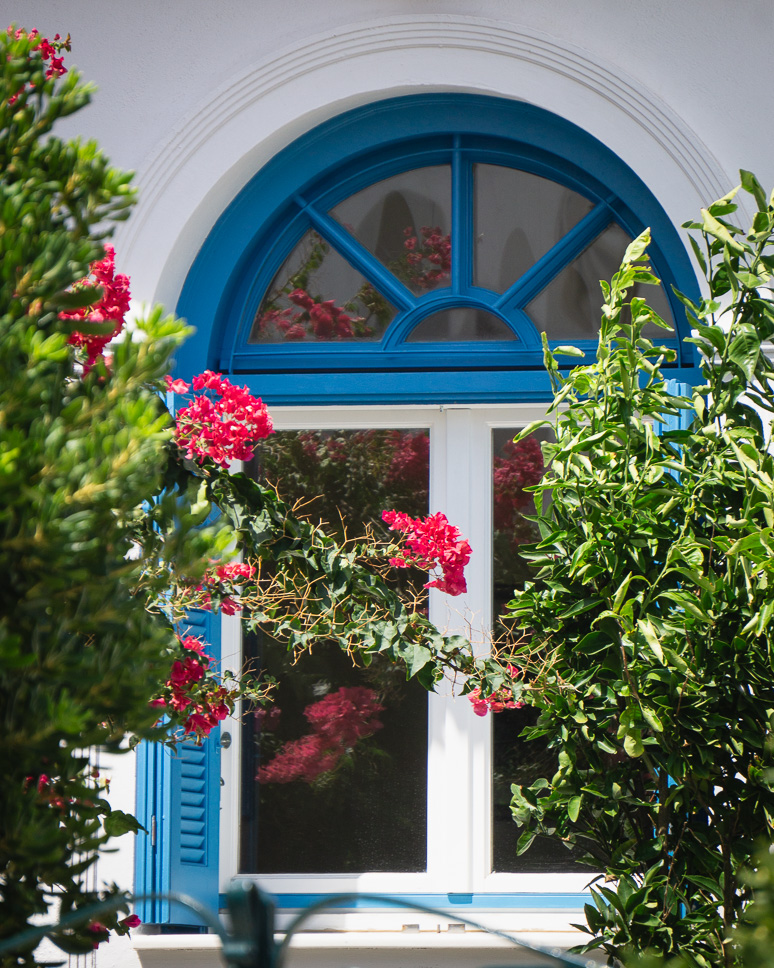 Chora Andros Bougainvillea Blue Window